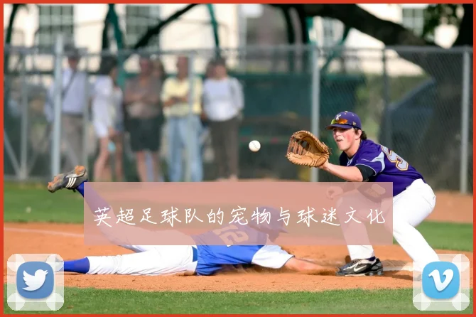 英超足球队的宠物与球迷文化